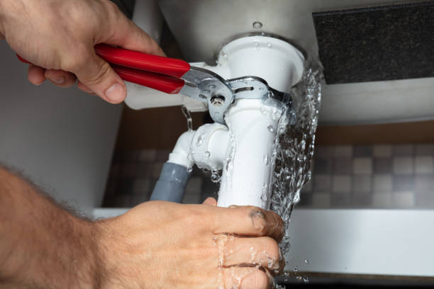 Best Water damage cleanup near me  in Ferndale, PA