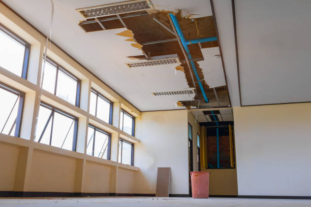 Best 24-hour water damage restoration  in Ferndale, PA