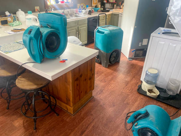Best Carpet water damage restoration  in Ferndale, PA