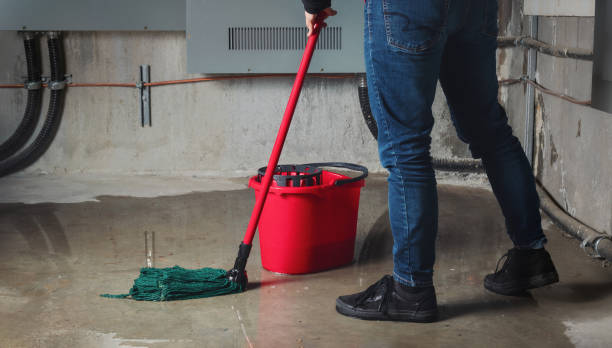 Best Mold removal after water damage  in Ferndale, PA
