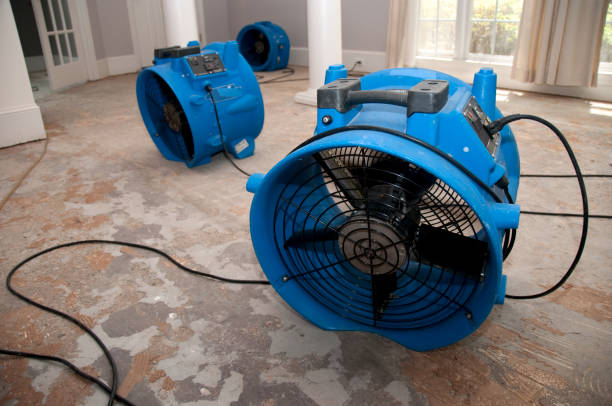Professional Water damage restoration in Ferndale, PA