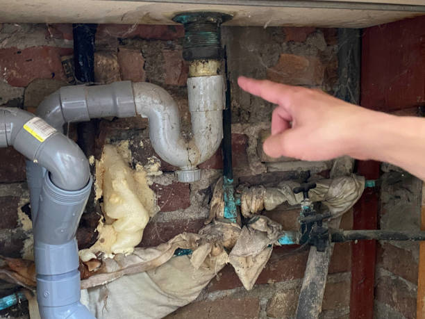 Best Fire Damage Restoration  in Ferndale, PA