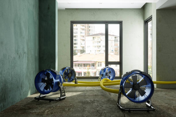 Best Water damage restoration company  in Ferndale, PA